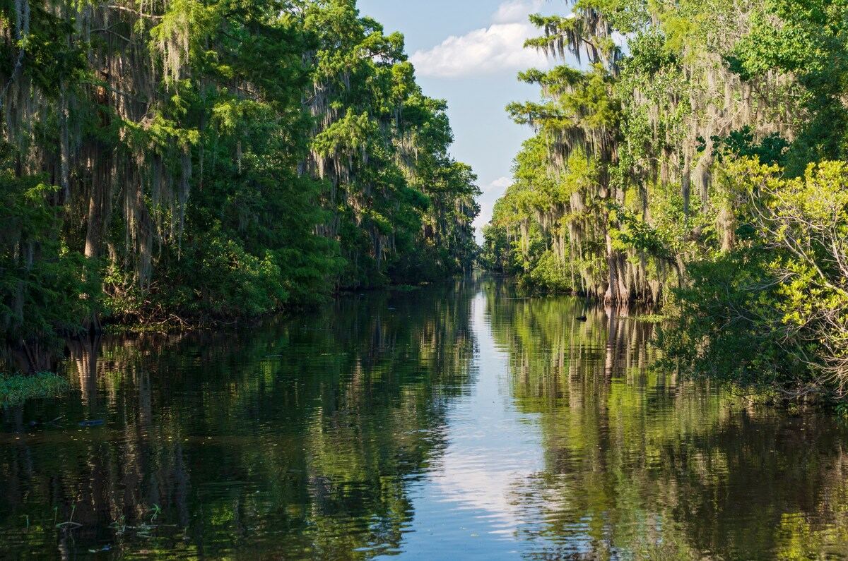 Mississippi Delta bayou in Louisiana