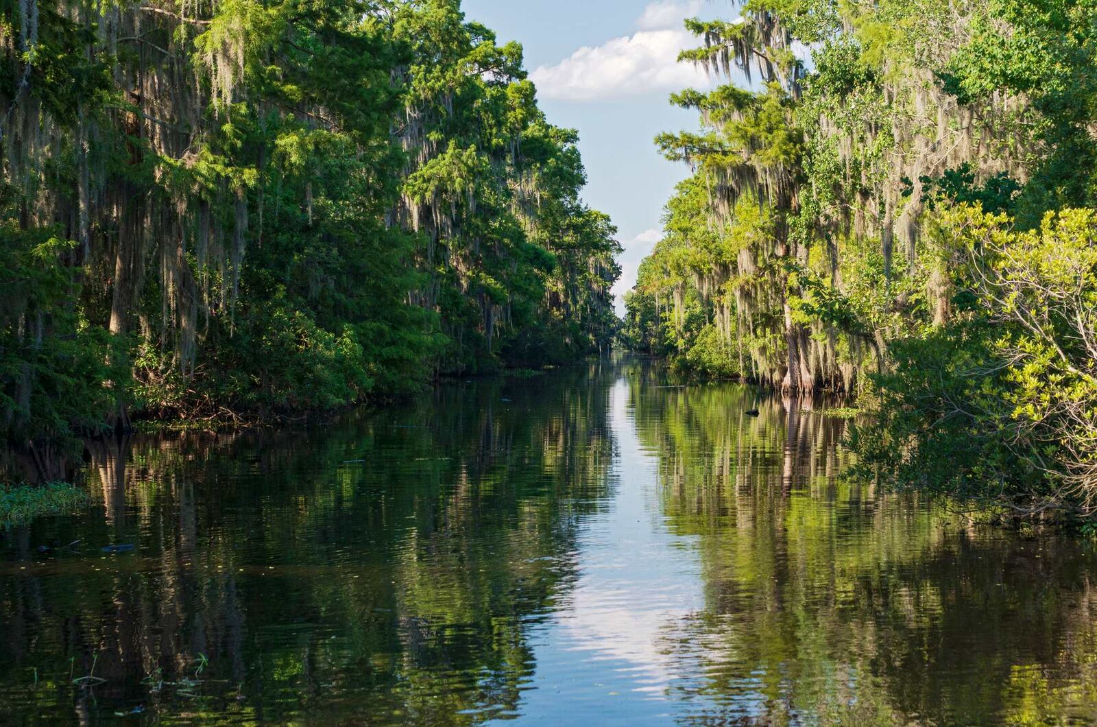 River landscape